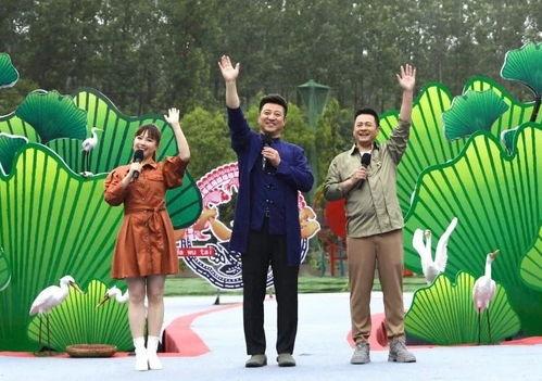 医生阿姨爆料视频大全最新,最新爆料视频大全深度解析